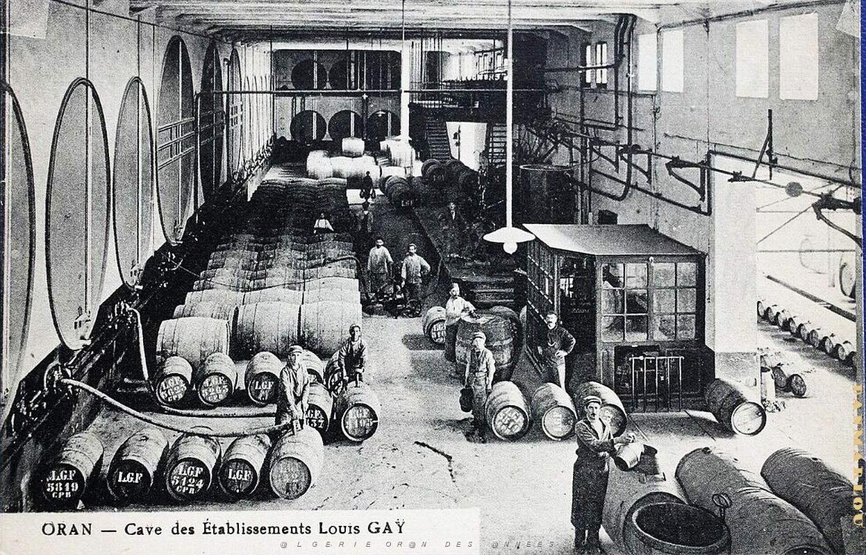 Oran - Gambetta - Caves Vins Gay.jpg